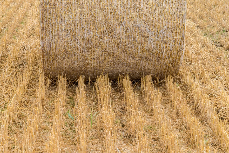 07202014 Our Ohio Neighborhood-12