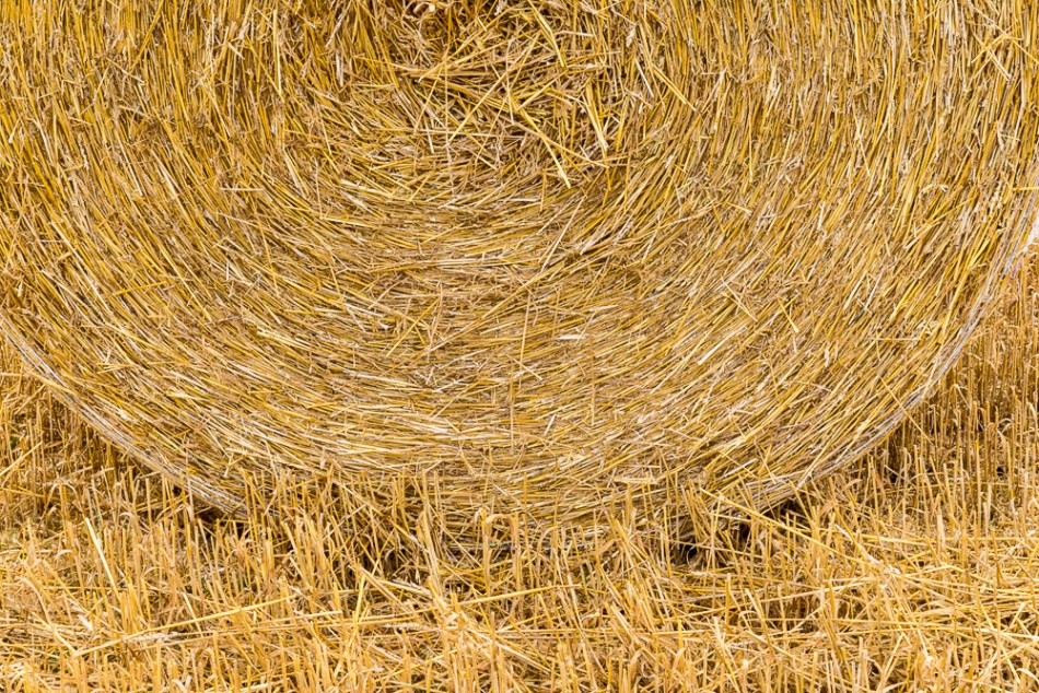 07202014 Our Ohio Neighborhood-13