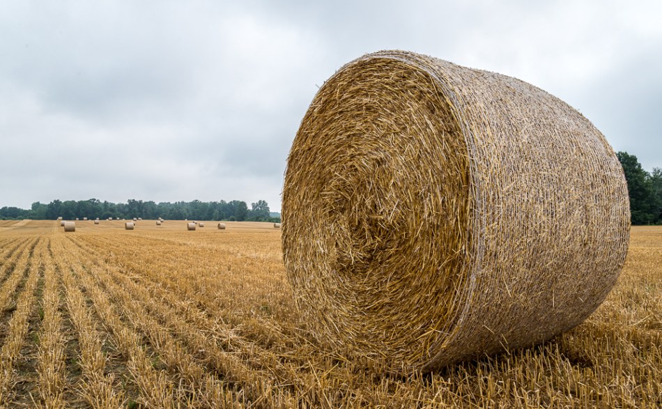 07202014 Our Ohio Neighborhood-30