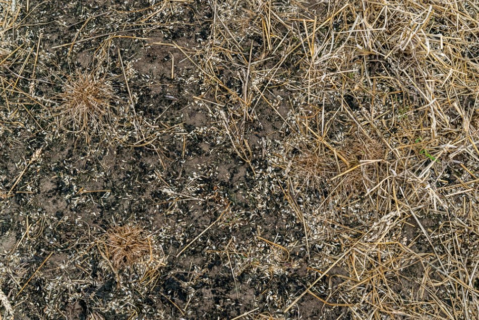 07202014 Our Ohio Neighborhood-56