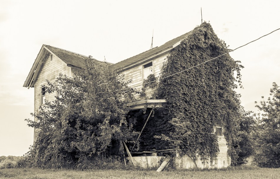 08032014 Wandering Northern Ohio-14-2