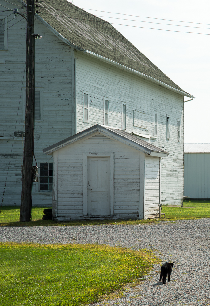 08032014 Wandering Northern Ohio-156