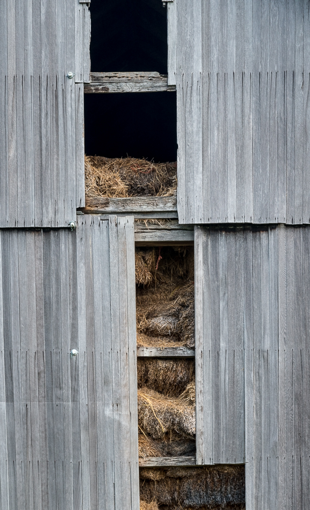 08032014 Wandering Northern Ohio-65-3