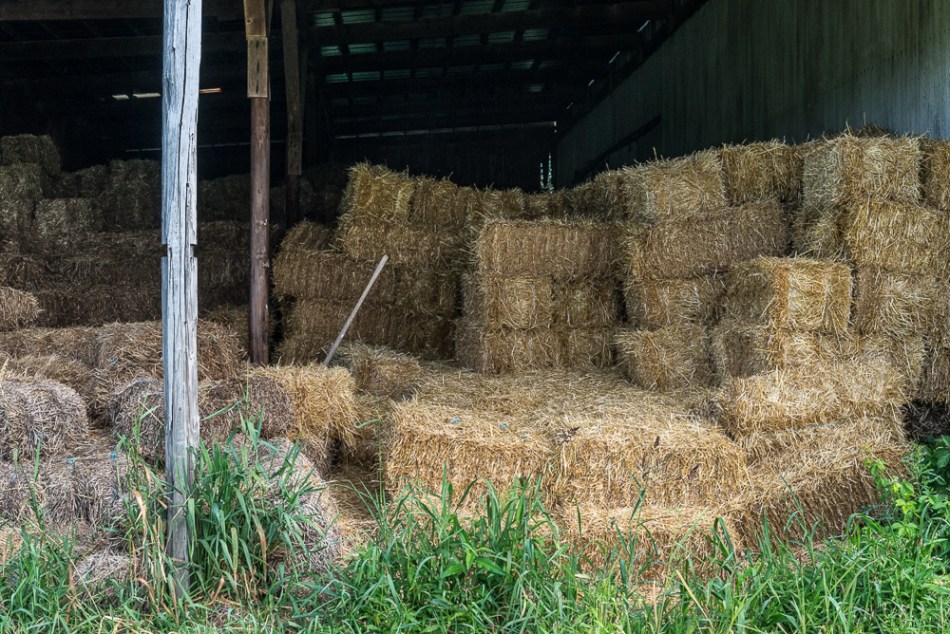 08032014 Wandering Northern Ohio-70-3