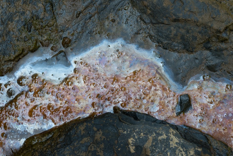 08102014 Schoepfle Garden-118