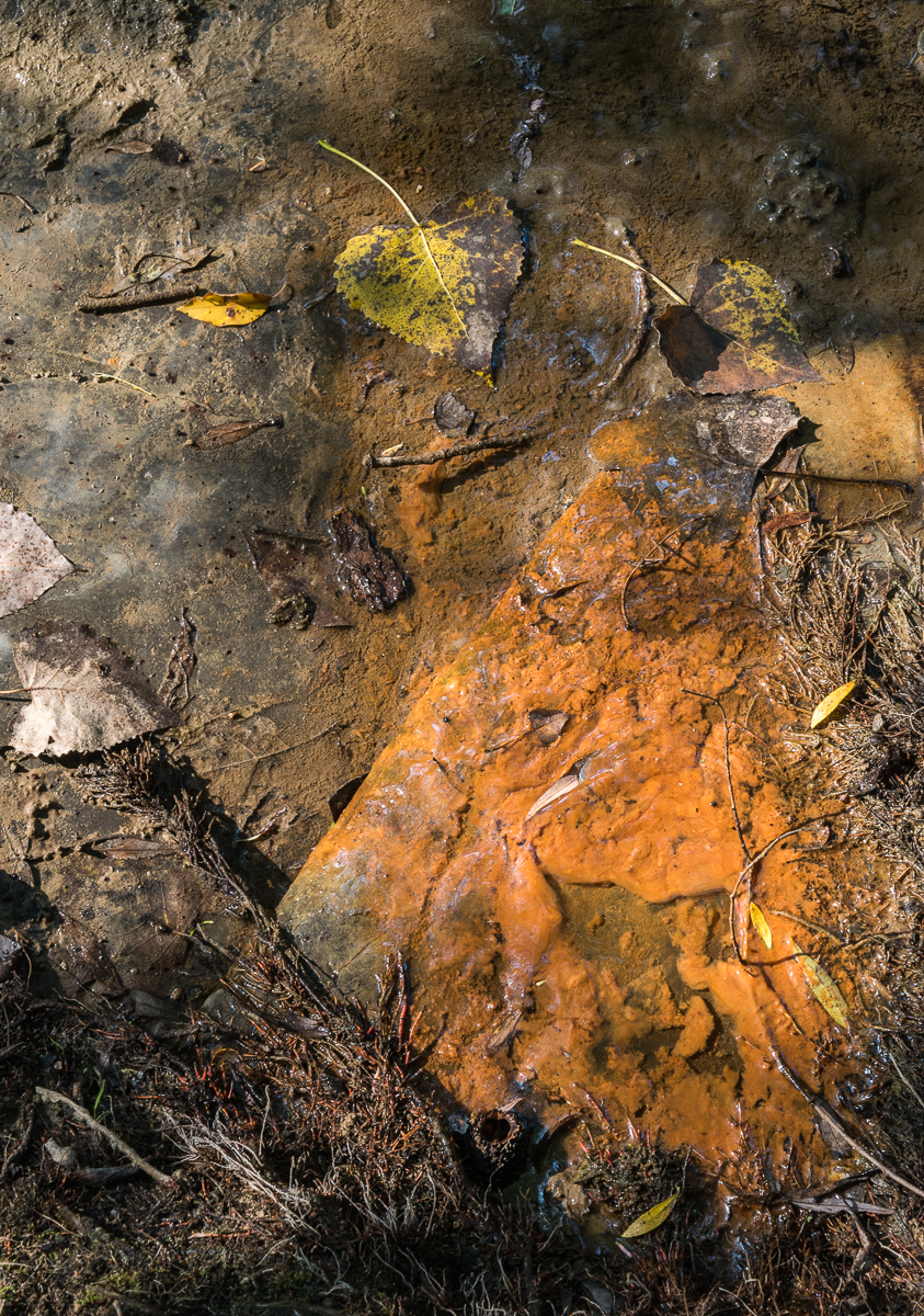 08102014 Schoepfle Garden-47