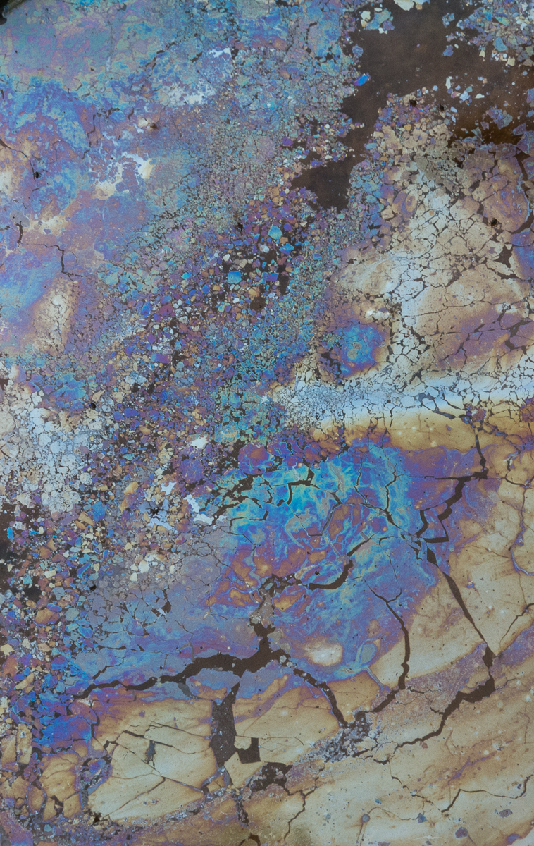 08102014 Schoepfle Garden-73-2