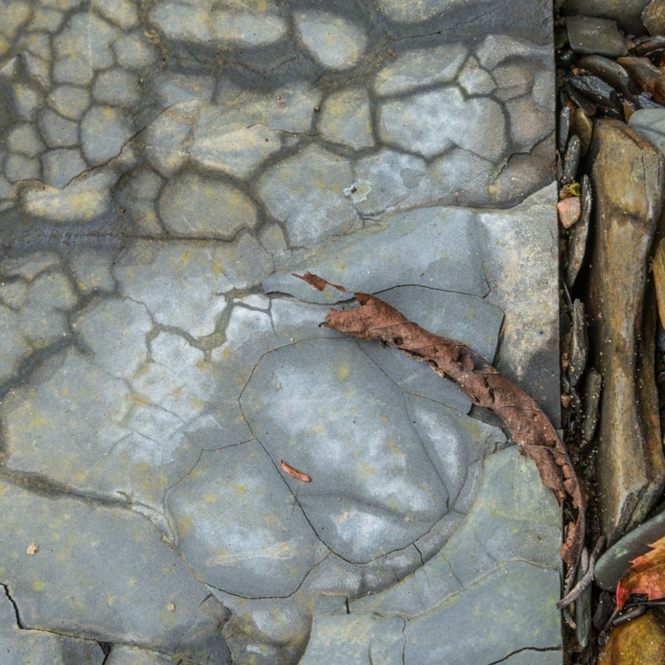 08242014 Schoepfle Garden-140