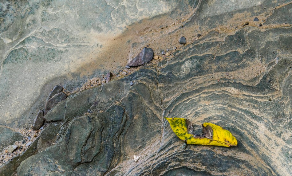 08242014 Schoepfle Garden-168