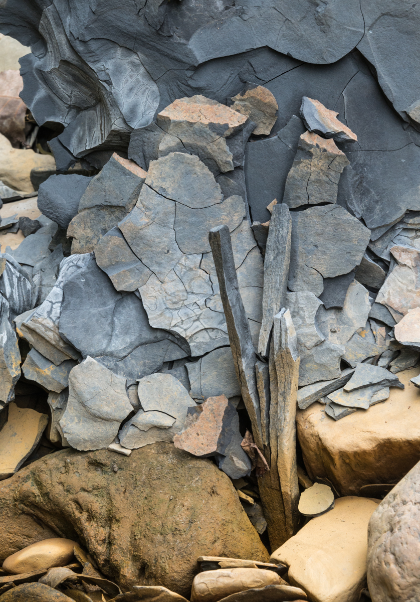 08242014 Schoepfle Garden-33