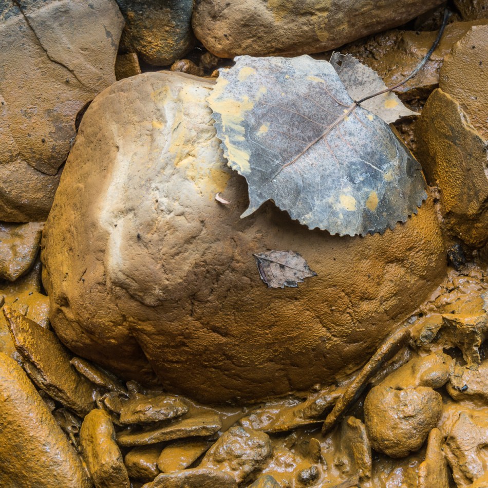 08242014 Schoepfle Garden-50