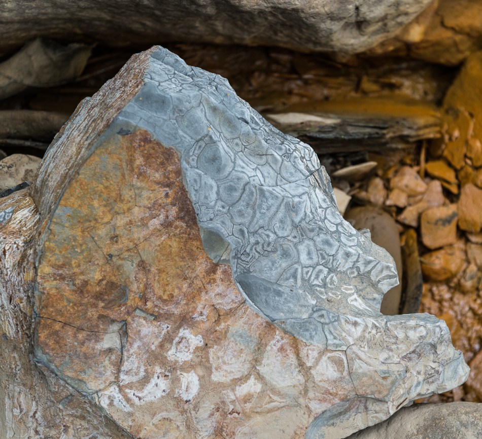 08242014 Schoepfle Garden-64-2