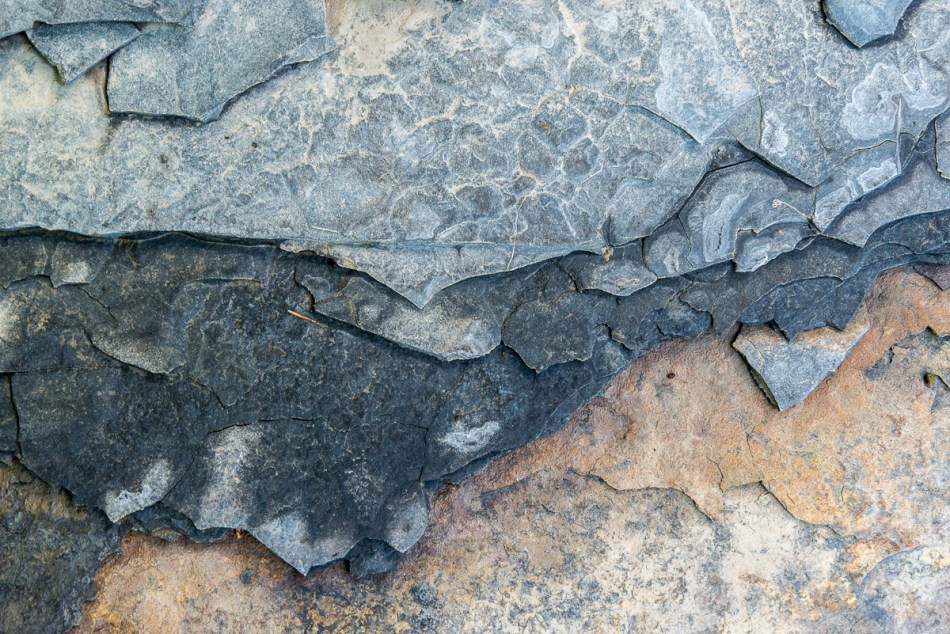 09142014 Schoepfle Garden-39