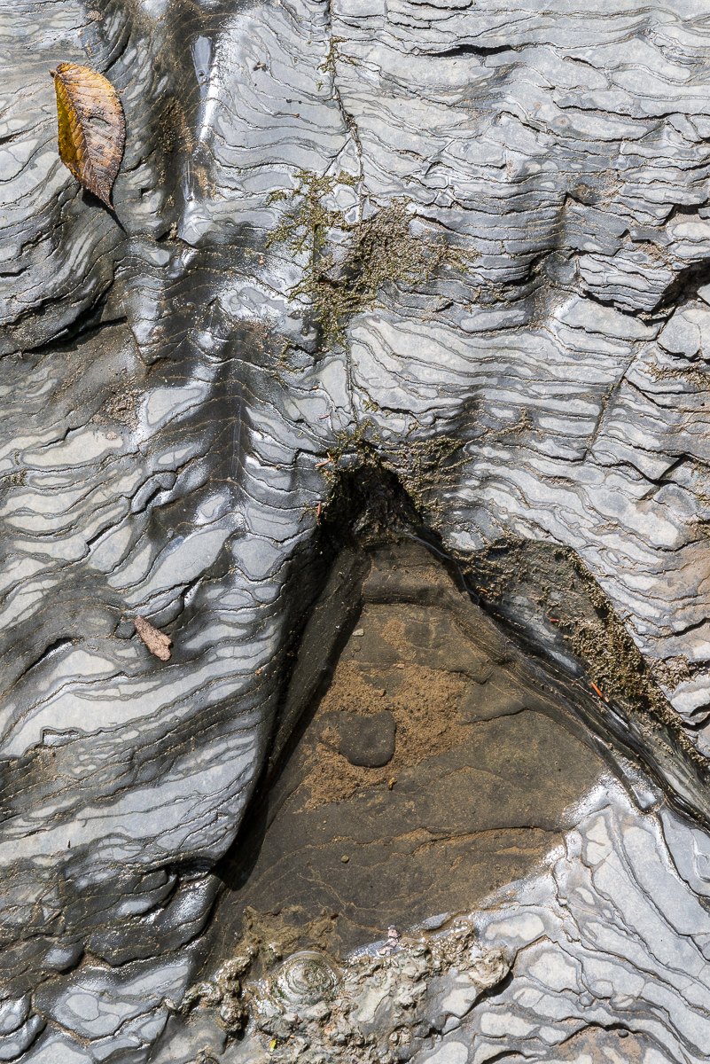 09142014 Schoepfle Garden-50