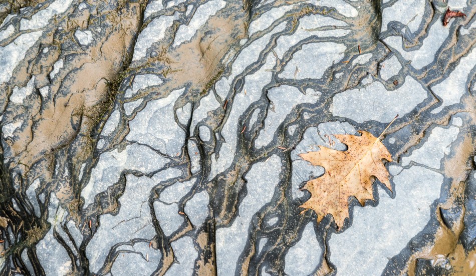 09142014 Schoepfle Garden-59