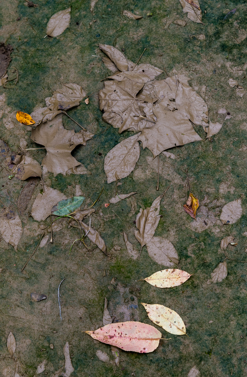 09142014 Schoepfle Garden-71