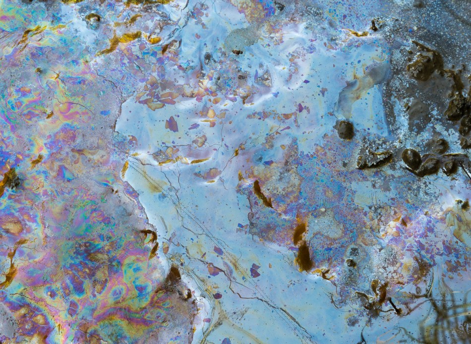 09272014 Schoepfle Garden-188