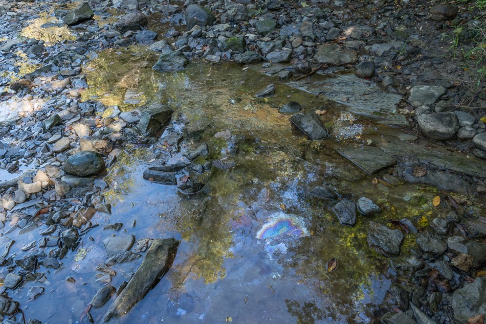 09272014 Schoepfle Garden-201