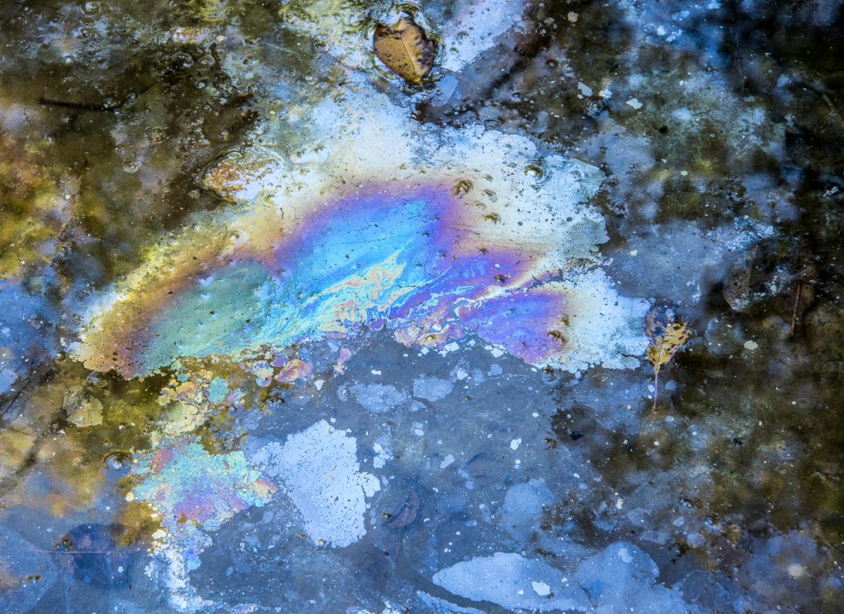 09272014 Schoepfle Garden-203