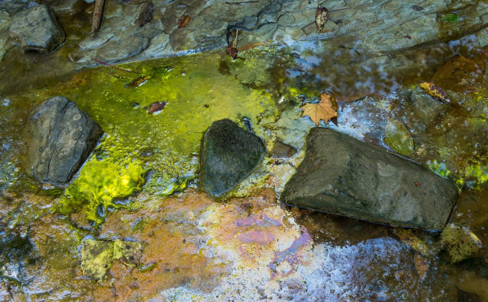 09272014 Schoepfle Garden-218