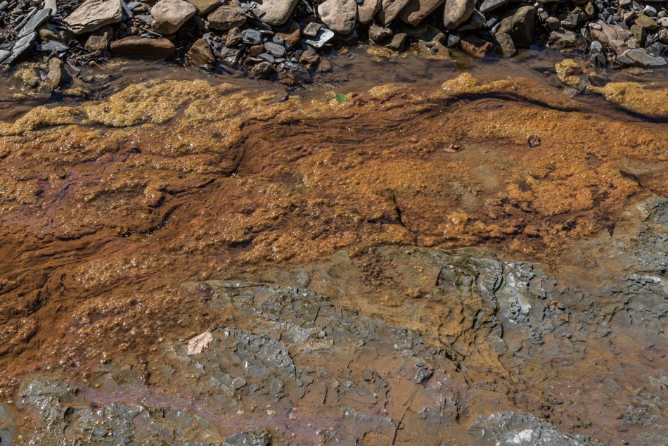 09272014 Schoepfle Garden-236