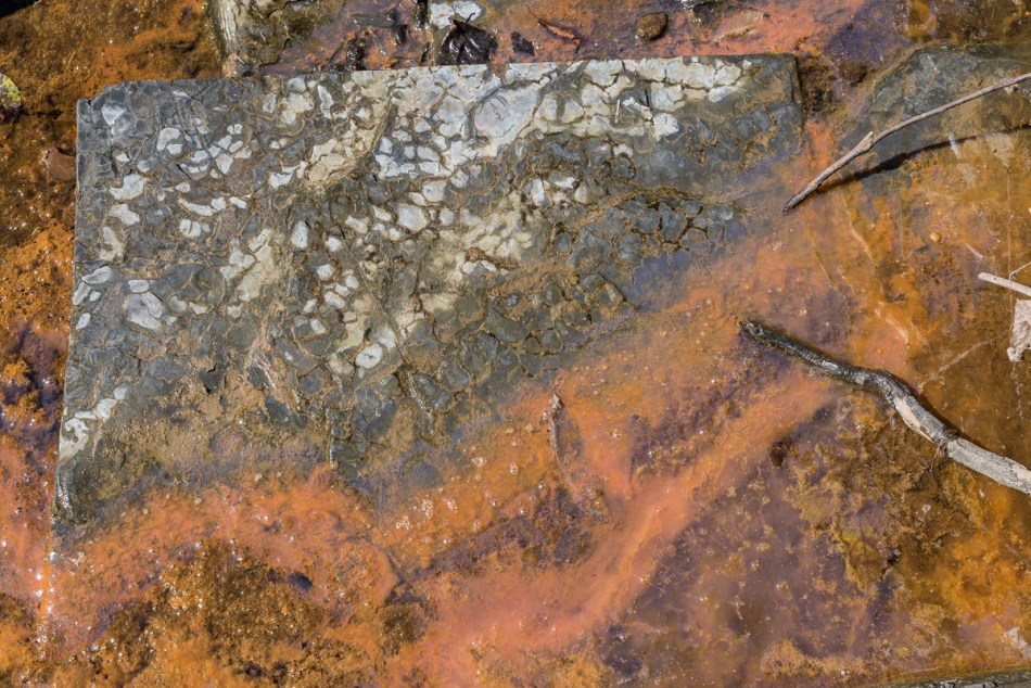 09272014 Schoepfle Garden-239