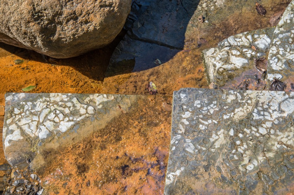 09272014 Schoepfle Garden-240-Edit