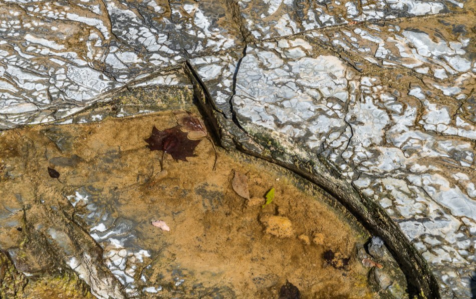 09272014 Schoepfle Garden-249