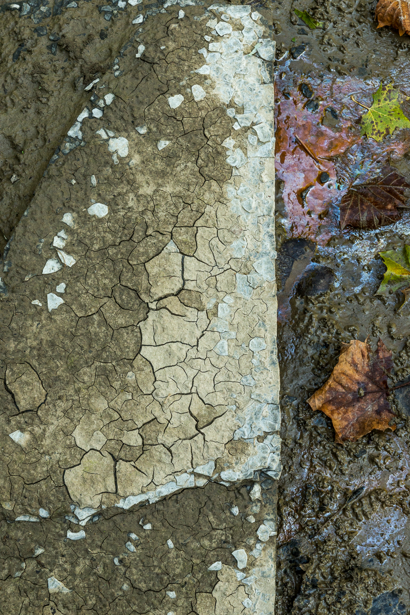 09272014 Schoepfle Garden-265