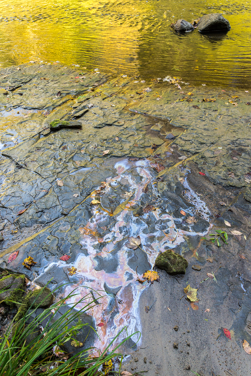 09272014 Schoepfle Garden-71