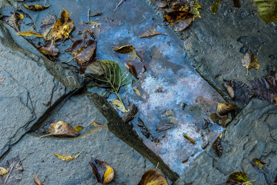 09272014 Schoepfle Garden-86