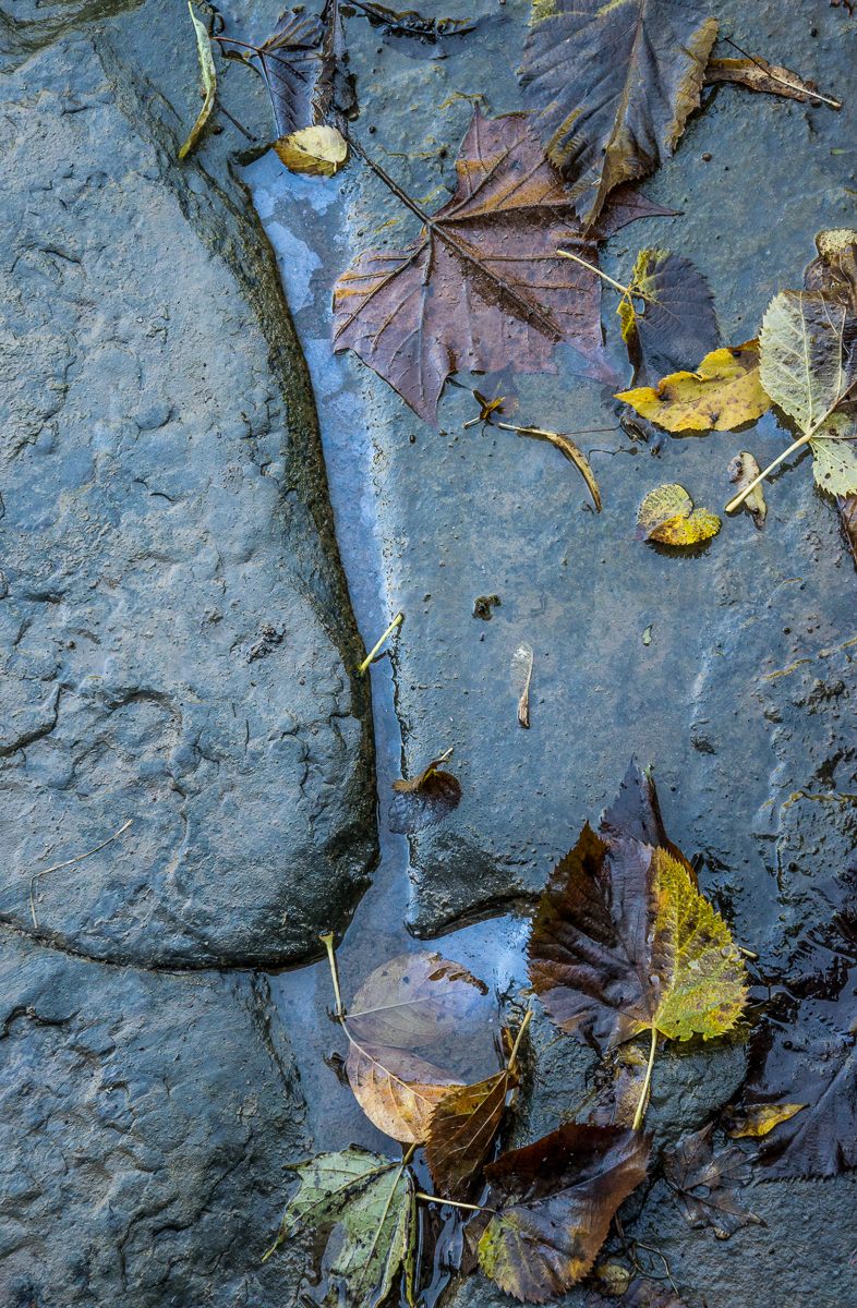 09272014 Schoepfle Garden-95