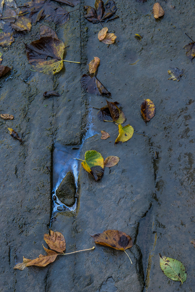 09272014 Schoepfle Garden-97