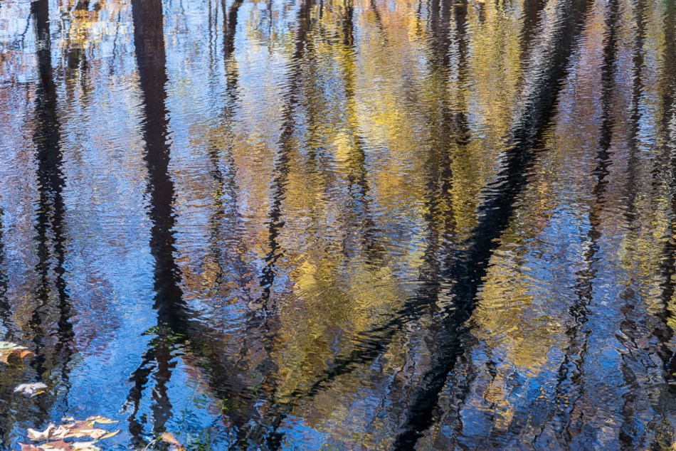 10262014 Schoepfle Garden-24-2