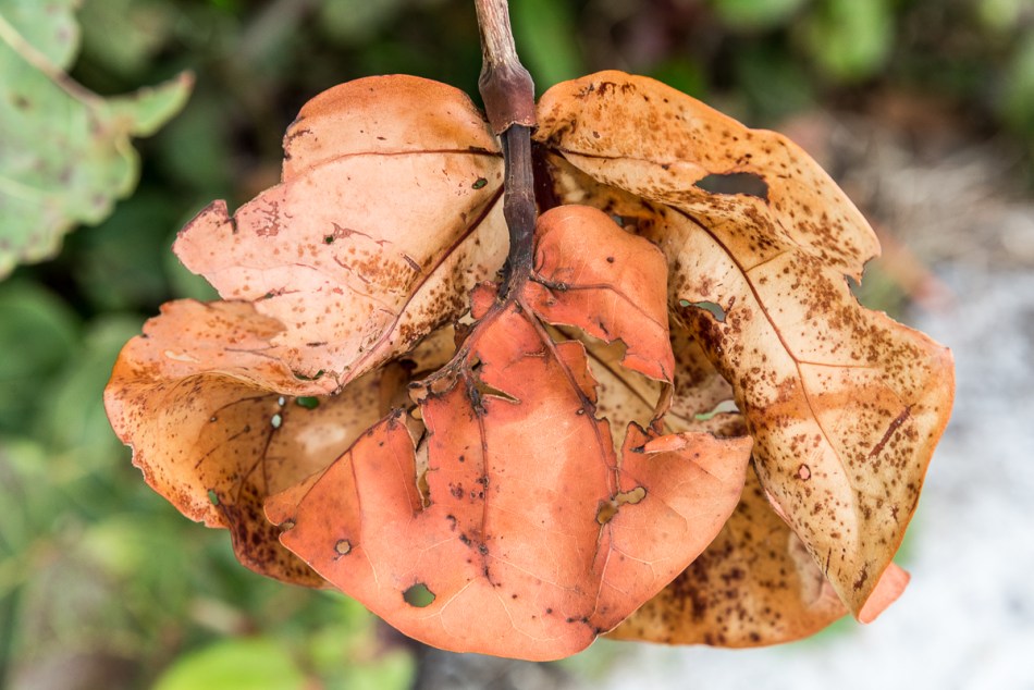 12072014 Quick Point-76