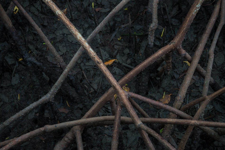 12072014 Quick Point-89