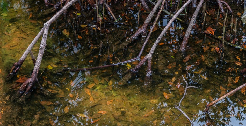 12072014 Quick Point-94