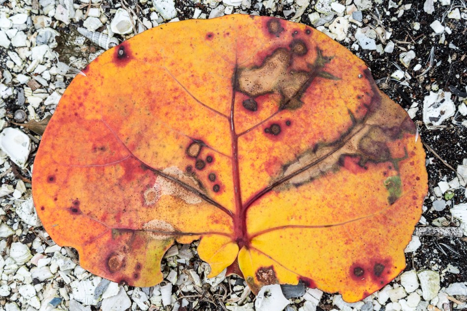 12072014 Quick Point-99