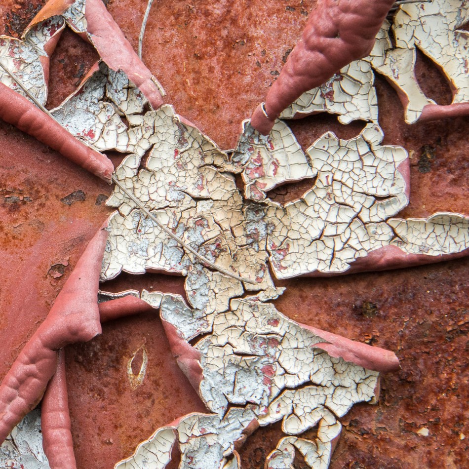 12122014 Eldred's Marina-28