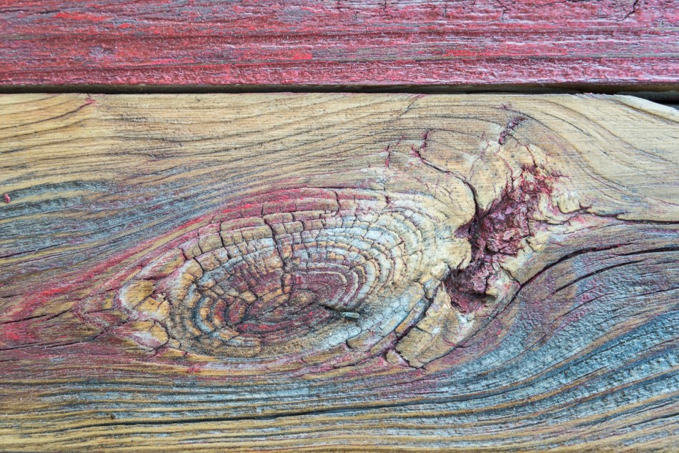 12212014 Rosemary District-92