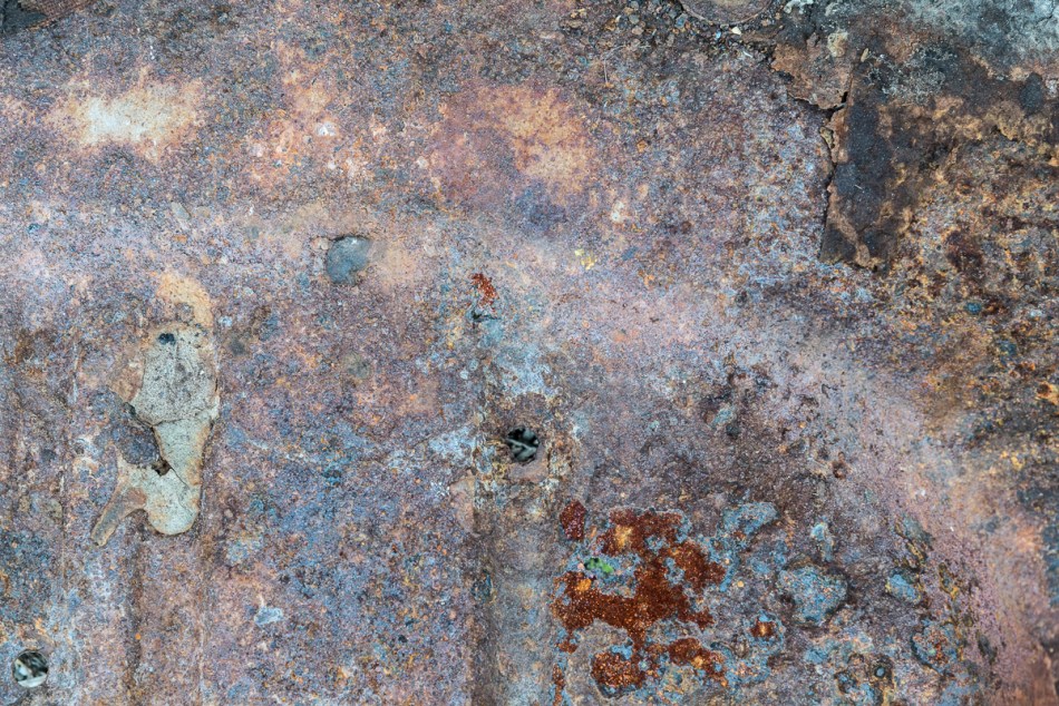 12212014 Rosemary District-95