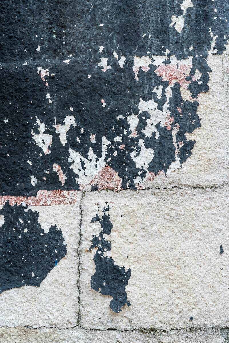 01102015 Downtown Sarasota-38