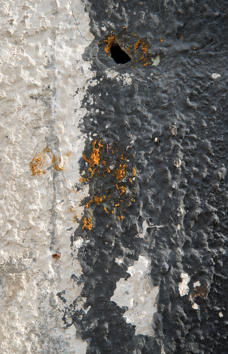 01102015 Downtown Sarasota-47