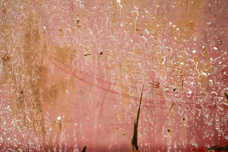 01102015 Downtown Sarasota-54