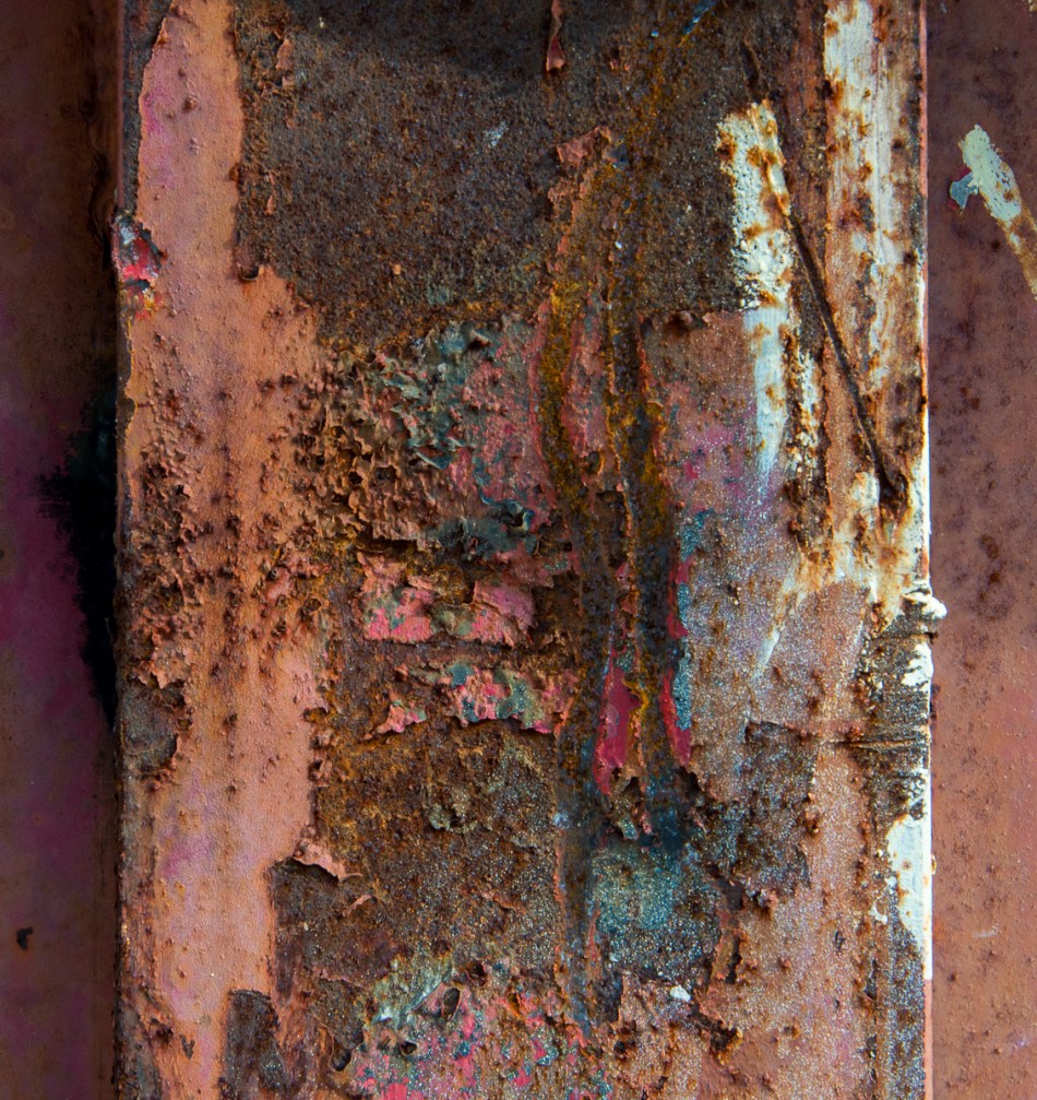 01102015 Downtown Sarasota-76