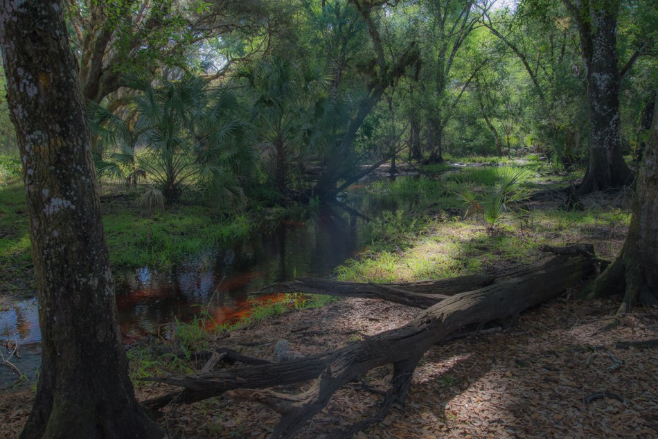 02082015 Myakka River State Park-36