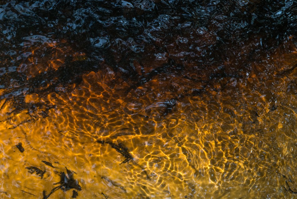 02232015 Myakka River State Park-143