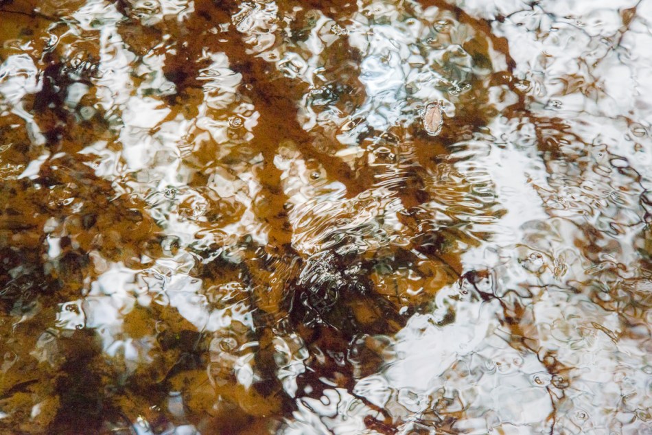 02232015-untitled-181