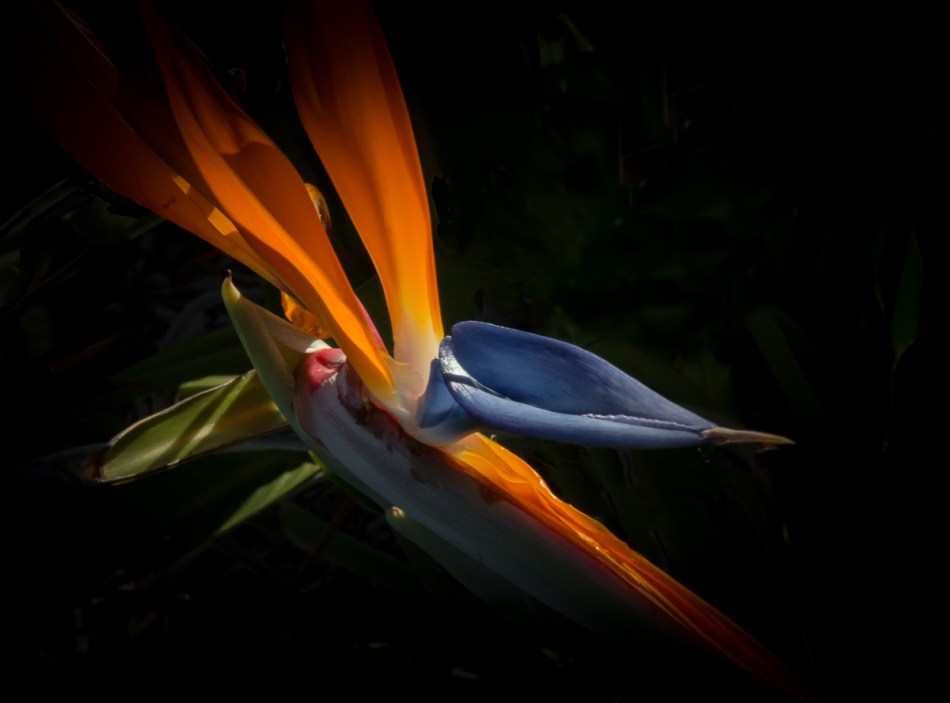 03212015-untitled-187