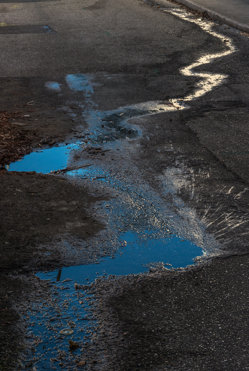 03212015 Walk Home from Farmers Mkt-40